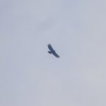 DSCN0607