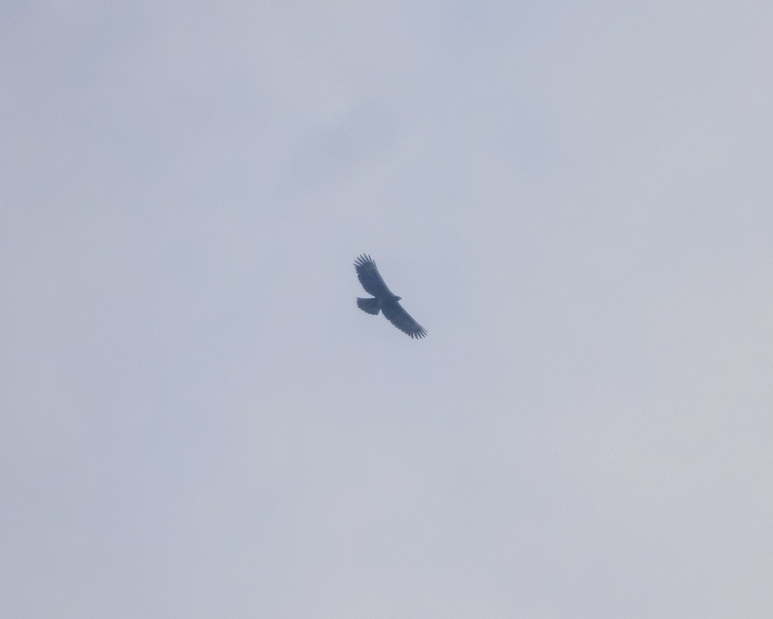 DSCN0607