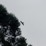 DSCN0612