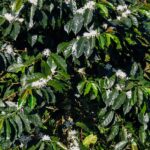 DSCN0685