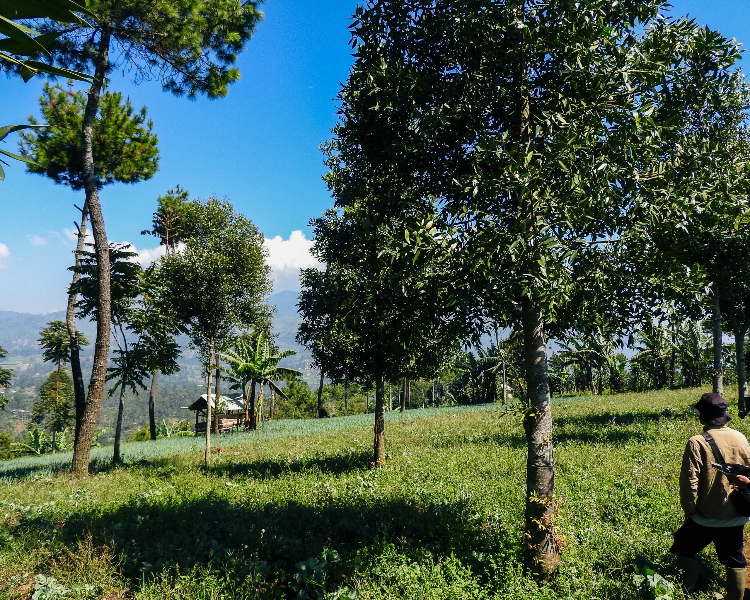 DSCN0737