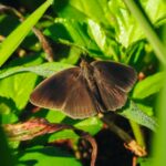 DSCN0980