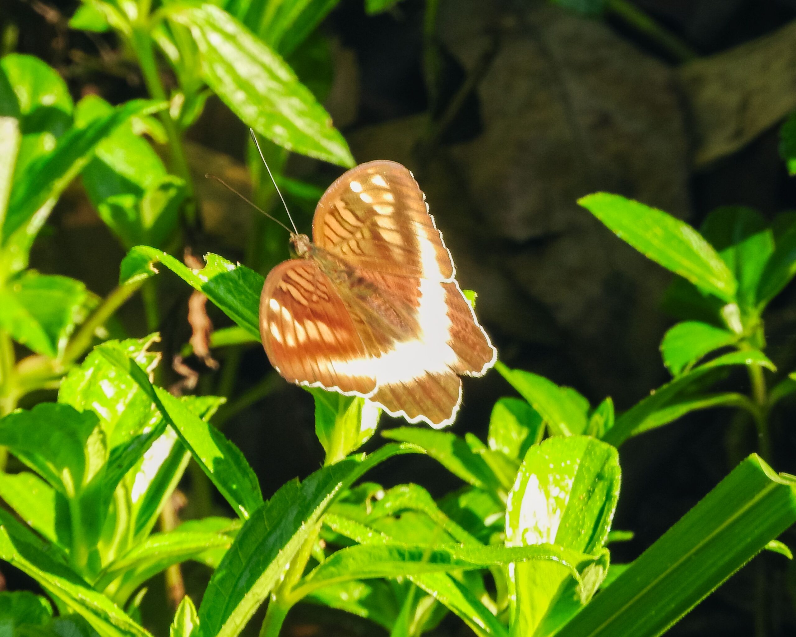 DSCN0989