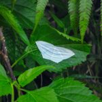 DSCN0990