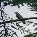 DSCN1029