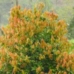 DSCN1056