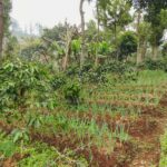 DSCN1109