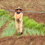 DSCN1253