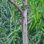 DSCN9563