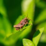 IMG_1767