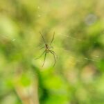 IMG_1773