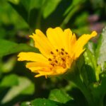 IMG_1779