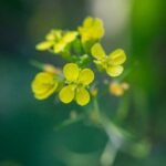 IMG_1839