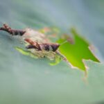 IMG_1847